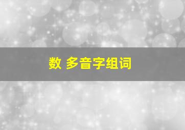 数 多音字组词